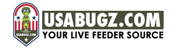 USA Bugz .com